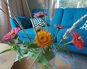 Guest house 423003 - Holiday property Hart van Brabant - Huisje in Leende