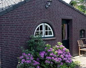 Guest house 423006 • Holiday property Hart van Brabant • Vakantiehuis in Leende 