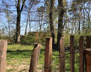 Guest house 423319 - Holiday property Hart van Brabant - Vakantiehuisje in Mariahout
