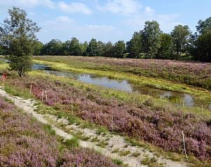 Guest house 423321 - Holiday property Hart van Brabant - Vakantiehuisje in Mariahout