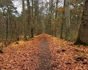 Guest house 423321 - Holiday property Hart van Brabant - Vakantiehuisje in Mariahout