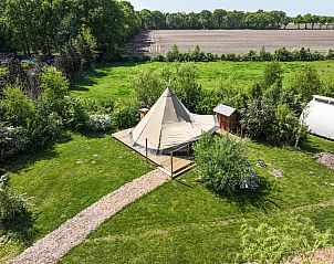 Verblijf 423324 - Tenthuis Hart van Brabant - Tipi the Hat