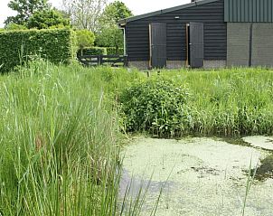 Groene tuin van Vakantiehuisje in Hank met vijver en natuur in Hart van Brabant, Noord Brabant.