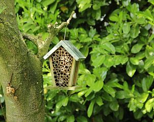 Vogelhuisje in de tuin van Vakantiehuisje in Hank, omringd door natuur in Hart van Brabant, Noord Brabant.