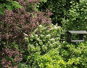 Weelderige tuin van Vakantiehuisje in Hank met vogelhuisje in Hart van Brabant, Noord Brabant.