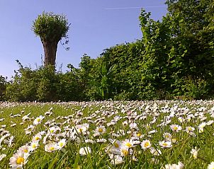 Guest house 424309 - Holiday property Hart van Brabant - Huisje in Hank