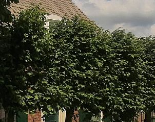 Groene omgeving van Vakantiehuisje in Hank, Noord Brabant, biedt een serene en natuurlijke sfeer in Hart van Brabant.