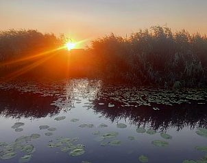 Guest house 424313 - Holiday property Hart van Brabant - Huisje in Hank