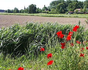 Guest house 424314 - Holiday property Hart van Brabant - Vakantiehuisje in Hank