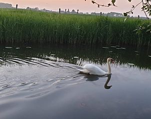 Guest house 424315 - Holiday property Hart van Brabant - Vakantiehuis in Hank