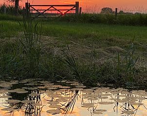 Guest house 424315 - Holiday property Hart van Brabant - Vakantiehuis in Hank