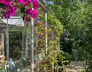 Verblijf 424316 - Vakantiewoning Hart van Brabant - Vakantiehuisje in Hank