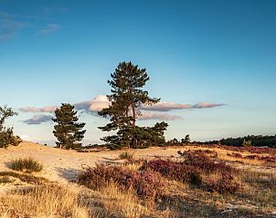 Natuurlijke omgeving van Vakantiehuis in Drunen, Noord Brabant.