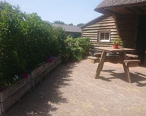 Unterkunft 425503 - Ferienhaus Hart van Brabant - Huisje in Haghorst