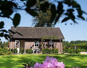Unterkunft 425605 - Ferienhaus Hart van Brabant - Vakantiehuis in Boxtel
