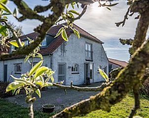 Verblijf 425607 - Vakantiewoning Hart van Brabant - Vakantiehuisje in Boxtel