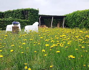 Verblijf 425607 - Vakantiewoning Hart van Brabant - Vakantiehuisje in Boxtel