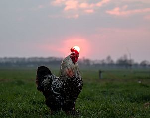 Verblijf 425607 - Vakantiewoning Hart van Brabant - Vakantiehuisje in Boxtel