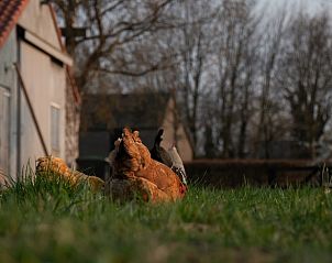 Verblijf 425607 - Vakantiewoning Hart van Brabant - Vakantiehuisje in Boxtel
