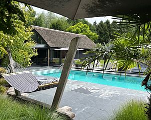 Ontspan bij het zwembad van Huisje in Boxtel, een vakantiehuis in Hart van Brabant, Noord Brabant, omgeven door weelderige natuur.