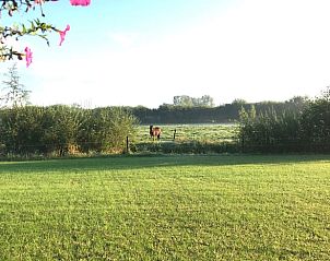 Idyllisch landschap met grazend paard nabij Vakantiehuisje in Boxtel, een oase van rust in Noord Brabant.