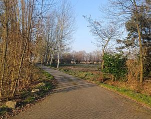 Lange wandelpaden om Vakantiehuis in Boxtel, ideaal voor natuurliefhebbers in Noord Brabant.
