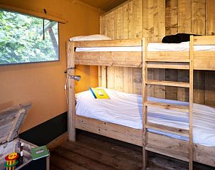 Unterkunft 425705 - Zelthaus Hart van Brabant - Farmtent