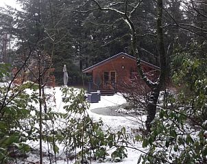Guest house 426101 - Chalet Hart van Brabant - Vakantiehuis in Nuenen