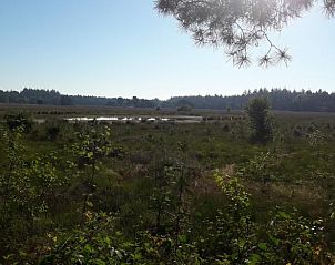 Guest house 426101 - Chalet Hart van Brabant - Vakantiehuis in Nuenen