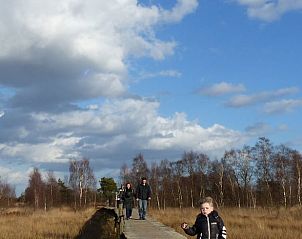 Guest house 426205 - Holiday property Hart van Brabant - Huisje in Helenaveen