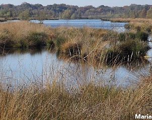 Guest house 426205 - Holiday property Hart van Brabant - Huisje in Helenaveen