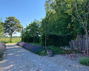 Guest house 426301 - Holiday property Hart van Brabant - Vakantiehuis in Sint Michielsgestel