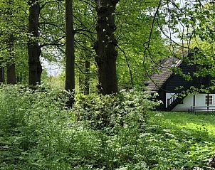 Natuurlijke omgeving rondom Huisje in Loon op Zand, vakantiehuis in Hart van Brabant.