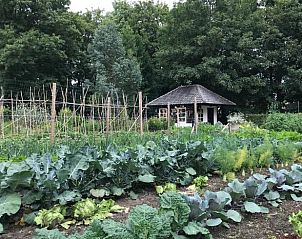 Groentetuin bij Huisje in Loon op Zand, vakantieaccommodatie in Noord Brabant.