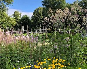 Bloemrijke tuin rondom Huisje in Loon op Zand, vakantiehuis in Hart van Brabant.