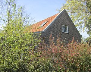 Guest house 426409 - Holiday property Hart van Brabant - Vakantiehuisje in Loon op Zand