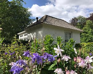 Vakantiehuisje in Loon op Zand omgeven door kleurrijke bloemen, Noord Brabant.
