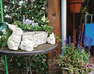 Decoratieve tuin in Huisje in Loon op Zand, vakantiehuis in Loon op Zand, Noord Brabant.