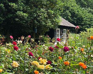 Kleurrijke bloementuin bij vakantiehuis in Loon op Zand, ideaal voor natuurliefhebbers, Hart van Brabant, Noord Brabant.