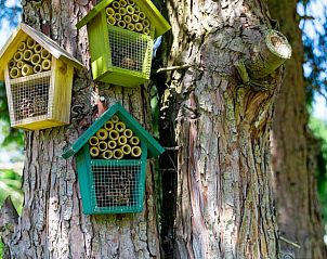 Eenpersoonsbed in Huisje in Loon op Zand, vakantiehuis in Loon op Zand, Noord Brabant.