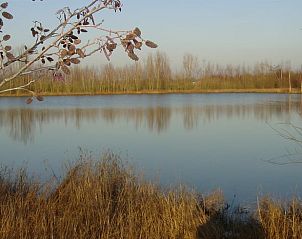 Guest house 426502 - Holiday property Hart van Brabant - Huisje in De Moer