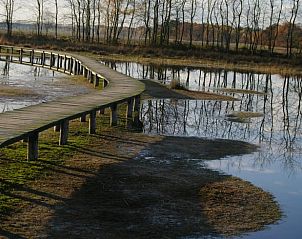 Guest house 426504 - Holiday property Hart van Brabant - Huisje in De Moer