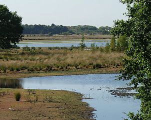 Guest house 426504 - Holiday property Hart van Brabant - Huisje in De Moer