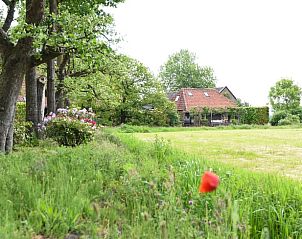 Guest house 426801 • Holiday property Hart van Brabant • Huisje in Esch 