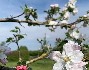 Guest house 426904 - Holiday property Hart van Brabant - Vakantiehuisje in Boxtel