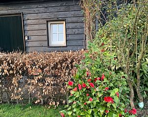 Guest house 426904 - Holiday property Hart van Brabant - Vakantiehuisje in Boxtel