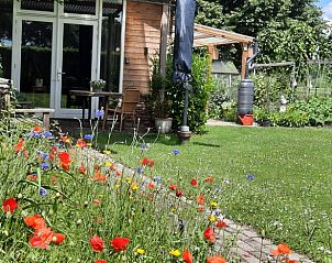 Guest house 427005 - Holiday property Hart van Brabant - Vakantiehuisje in Tilburg