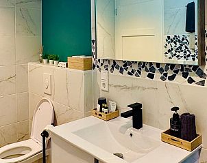 Stijlvolle badkamer in Huisje in Tilburg, vakantiewoning in Hart van Brabant, Noord Brabant.