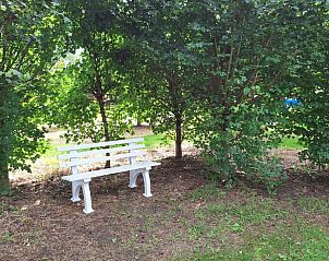 Verblijf 427204 • Vakantiewoning Hart van Brabant • Vakantiehuis in Heeswijk - Dinther 