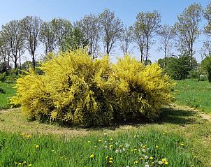 Verblijf 427204 • Vakantiewoning Hart van Brabant • Vakantiehuis in Heeswijk - Dinther 